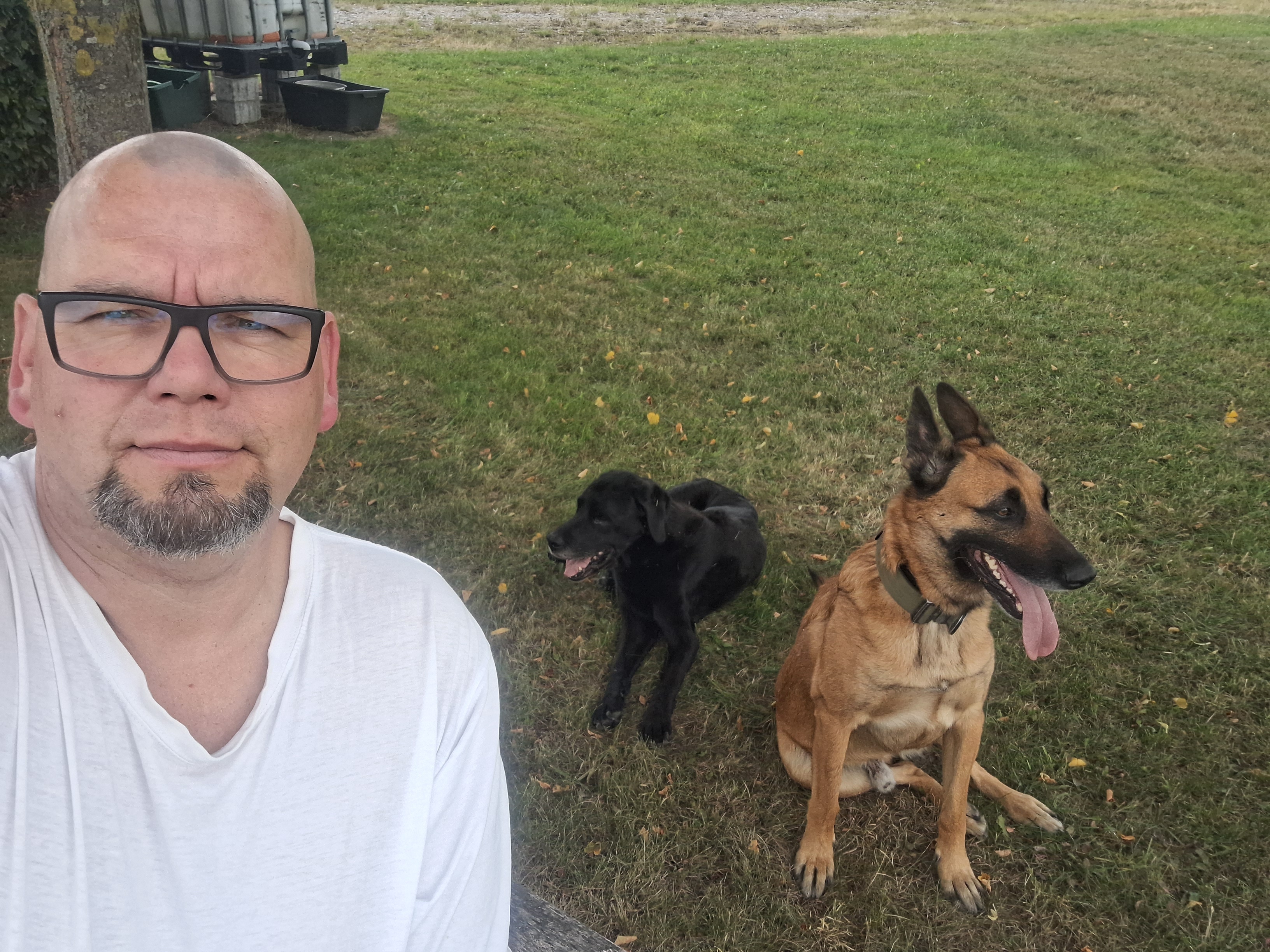 Torsten mit seinen Hunden